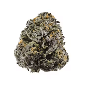 Grand Daddy Purp | NJ Discount Cannabis Club