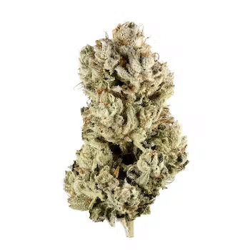 Gorilla Glue Strain | NJ Discount Cannabis Club
