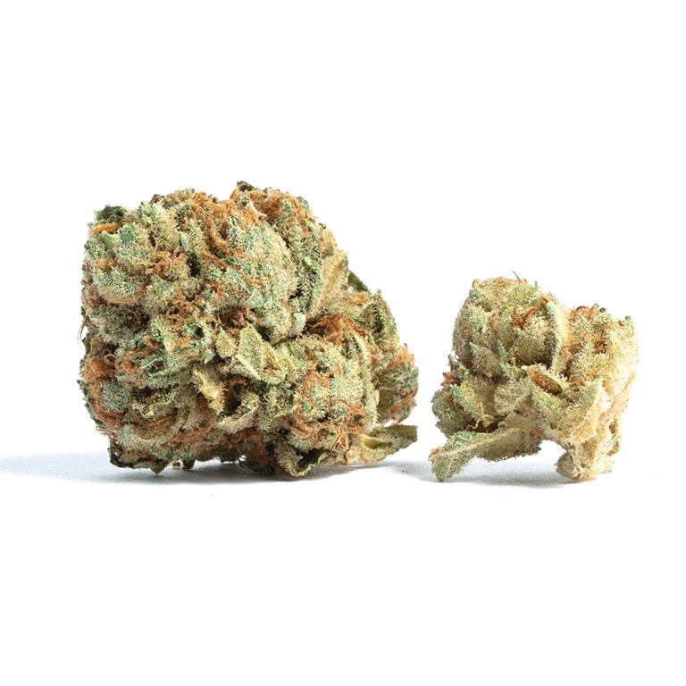 Cherry Gelato - NJ Discount Cannabis Club