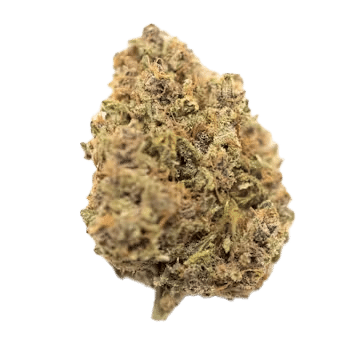 NJDCC- Platinum Punch