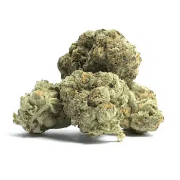 Thin Mints Girl Scout Cookies - NJ Discou8nt Cannabis Club