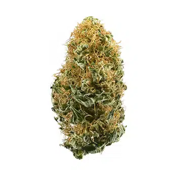 White Widow - NJ Discount Cannabis Club