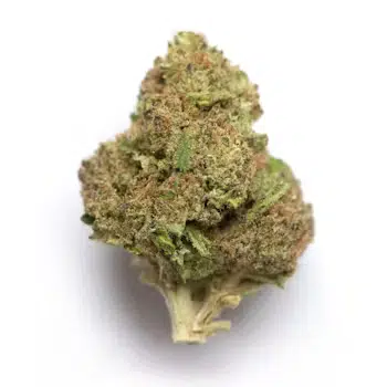 Purple Rainbow NJ Discount Cannabis Club