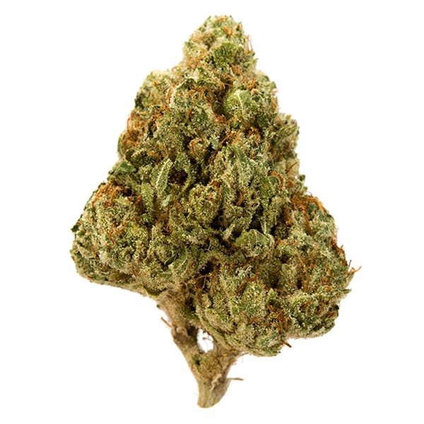 Gasoline Lollipop - NJ Discount Cannabis Club