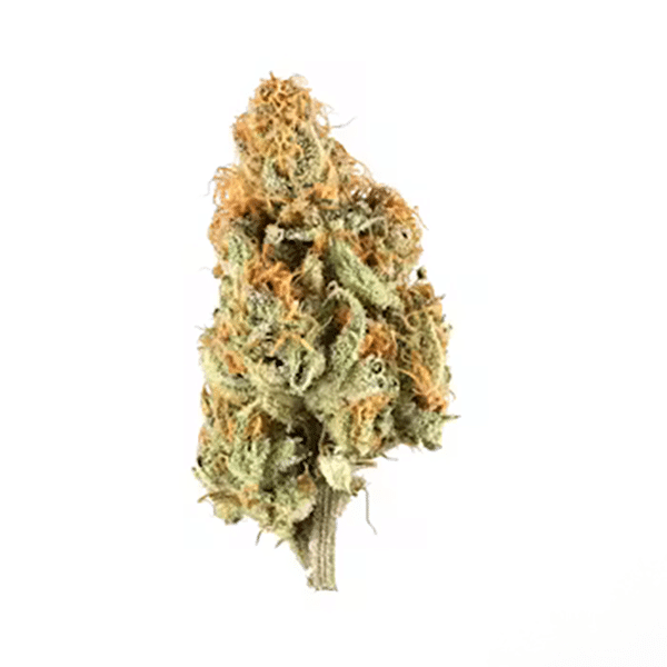 Amherst Sour Diesel - NJ Discount Cannabis Club