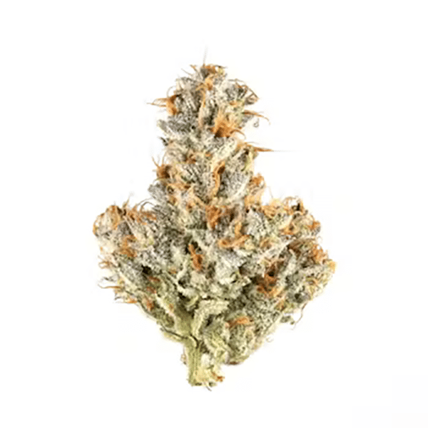 Mendo Breath