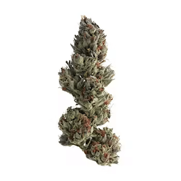 Runtz - NJ Discount Cannabis Club