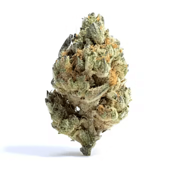 Pound Town - NJ Discount Cannabis Club