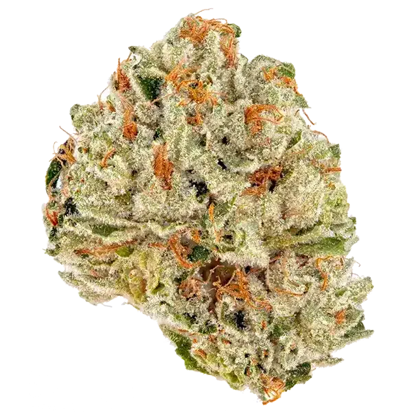Gruntz NJ Discount Cannabis Club